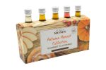 Monin Autumn Harvest Flavor Collection Online now