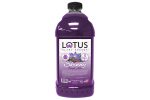 Lotus Energy Skinny Purple Lotus 64 oz Online Sale