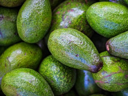 Avocados Online Hot Sale