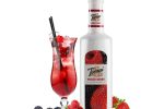 Torani Puree Blend: 1L Bottle: Mixed Berry Discount