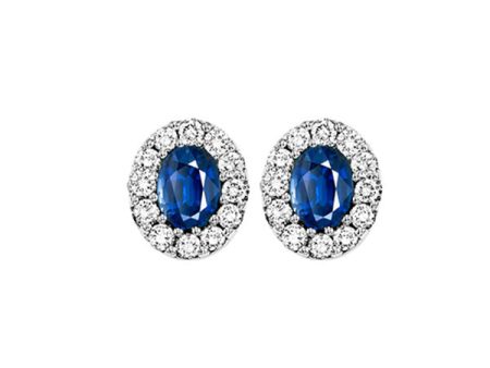 14Kt White Gold Diamond 1 4Ctw & Sapphire 1 3Ctw Earring Online now