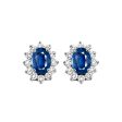 14Kt White Gold Diamond 3 8Ctw & Sapphire 1 1 8Ctw Earring Fashion