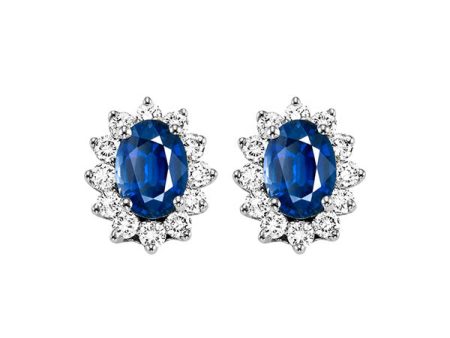 14Kt White Gold Diamond 3 8Ctw & Sapphire 1 1 8Ctw Earring Fashion