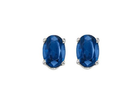 14Kt White Gold & Sapphire 1Ctw Earring Online Sale