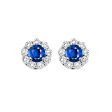 14Kt White Gold Diamond 3 4Ctw & Sapphire 5 8Ctw Earring Discount