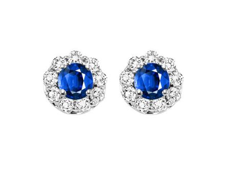 14Kt White Gold Diamond 3 4Ctw & Sapphire 5 8Ctw Earring Discount