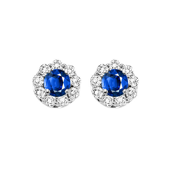 14Kt White Gold Diamond 3 4Ctw & Sapphire 5 8Ctw Earring Discount