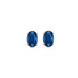 14Kt White Gold & Sapphire 7 8Ctw Earring Fashion