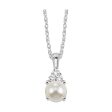 10Kt White Gold Diamond 1 50Ctw Pendant Cheap