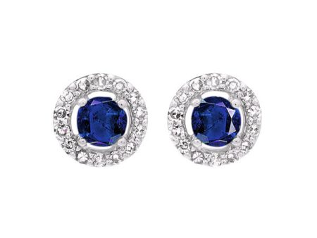 10Kt White Gold Diamond 1 10Ctw & Sapphire 1 3Ctw Earring Cheap